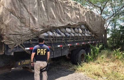 Polícia interceptou caminhão na BR-242 (Foto: Divulgação/PRF) 