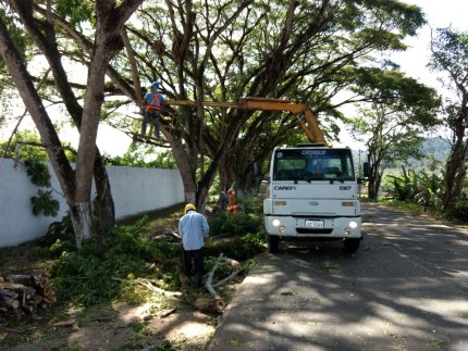 Caminhão Munck é realizado na pode de árvores (Foto: Ubatã Notícias)