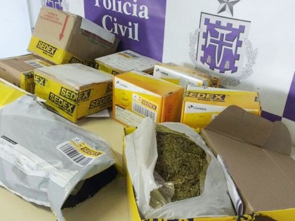 Droga foi encontrada após ação de cães farejadores (Foto: Divulgação/Polícia Civil) 