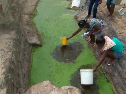 Moradores usam água verde para beber e cozinhar em Feira de Santana (Foto: Divulgação) 