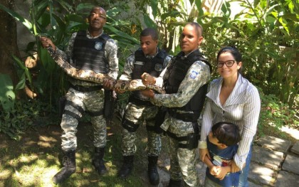 Agentes resgataram cobra em quintal (Foto: Divulgação)