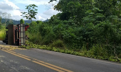 Caminhão carregado de banana tombou após colisão  (Foto:Leitor/Giro Ipiaú)
