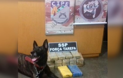 A cadela Fúria e a droga apreendida em Floresta Azul (Foto: Divulgação) 