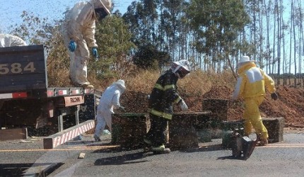 Apicultores da região e bombeiros recolheram as caixas de abelhas caídas na rodovia (Foto: Arquivo pessoal) 