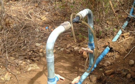Sistema de irrigação cultivava a plantação da droga (Foto: Divulgação/Polícia Civil) 