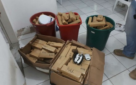 Droga foi encontrada embalada e numerada (Foto: Divulgação/SSP-BA) 