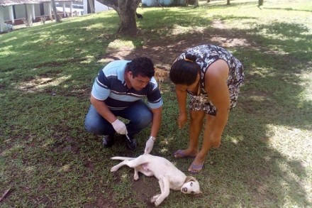 Equipe tem visitado moradores da zona rural e realizado a vacinação (Foto: Divulgação) 
