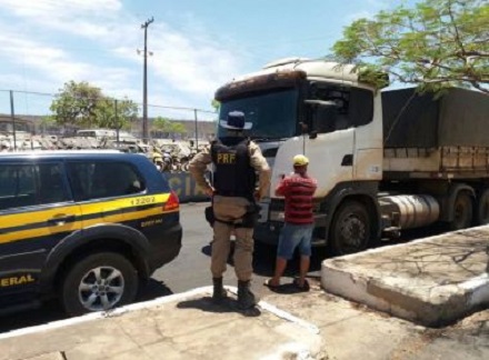 Flagrante foi feito pela Polícia Rodoviária Federal (Foto: Divulgação)
