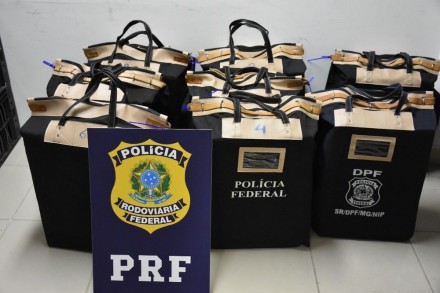Dinheiro foi encaminhado para a Polícia Federal (PF) (Foto: Divulgação/PRF) 